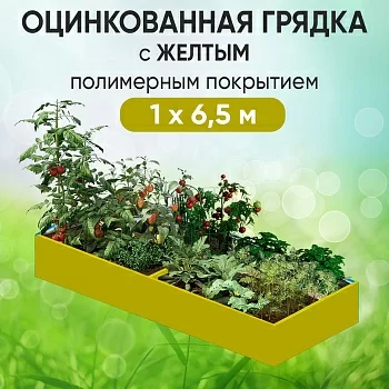 Грядка желтая (1 х 6,5)