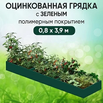 Грядка зеленая (0,8 х 3,9)